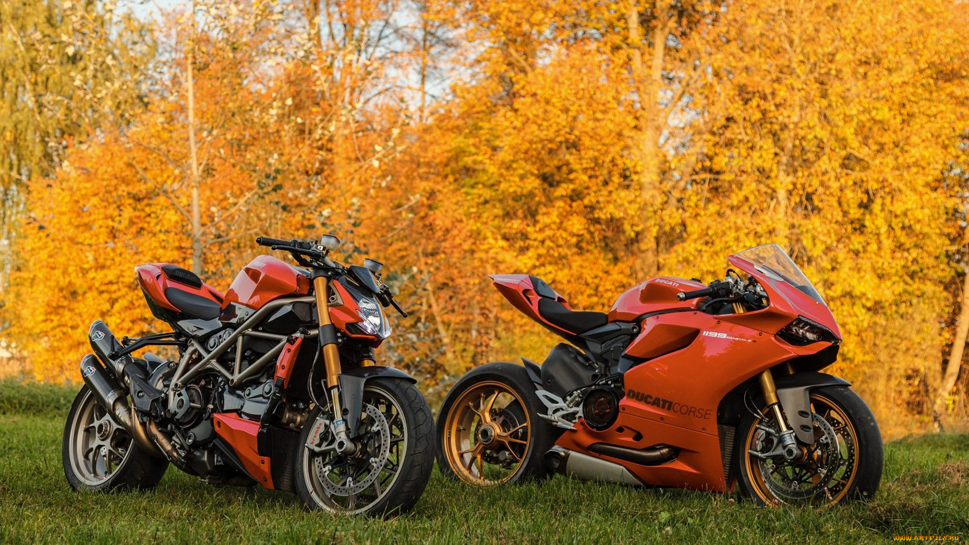 Ducati Streetfighter Yellow